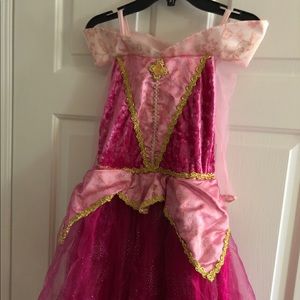 Disney parks princess aurora costume